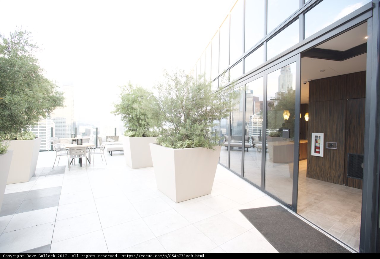Serene Patio in the Heart of Los Angeles
