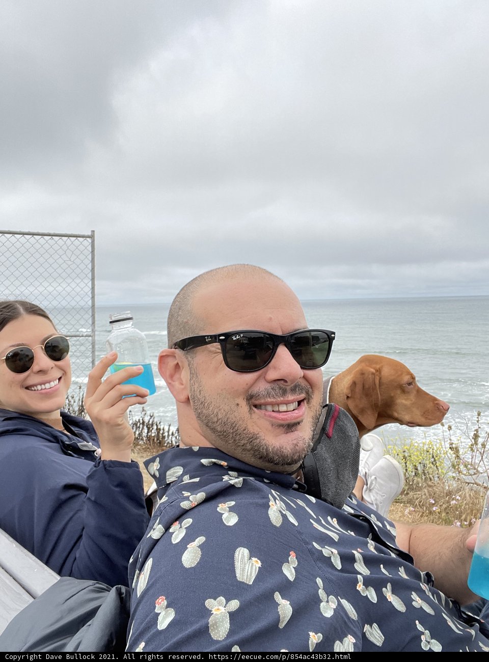 Beach Day with our Furry Friend