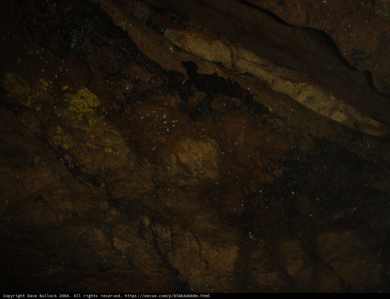 Spider in the Cave