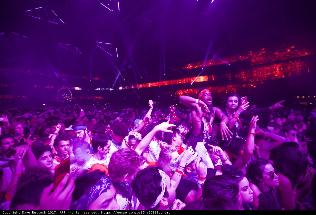 Purple Haze at Coachella