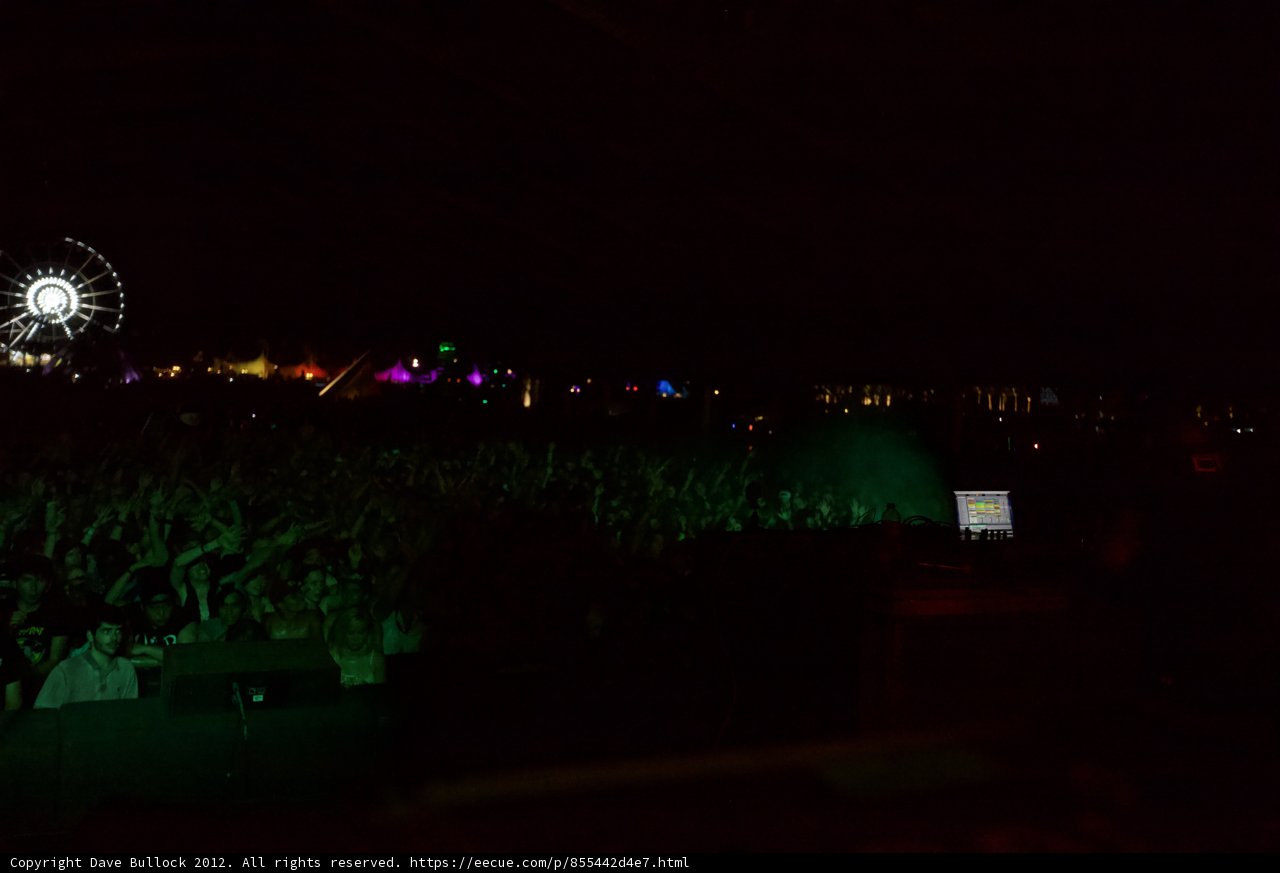 Ferris Wheel Fun at Coachella Concert