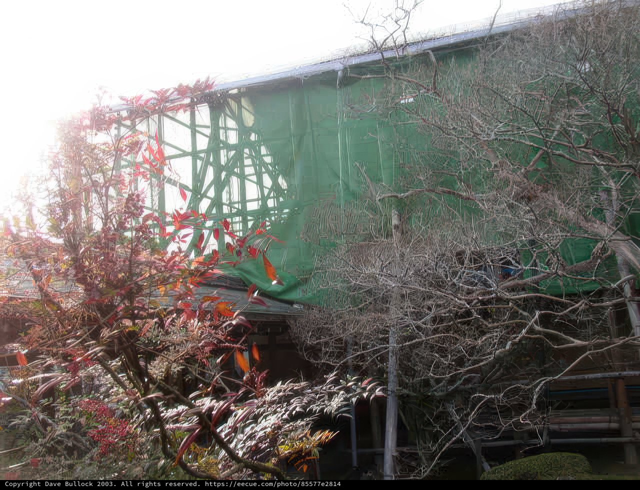 Green-roofed Building at Kyoto City Hall