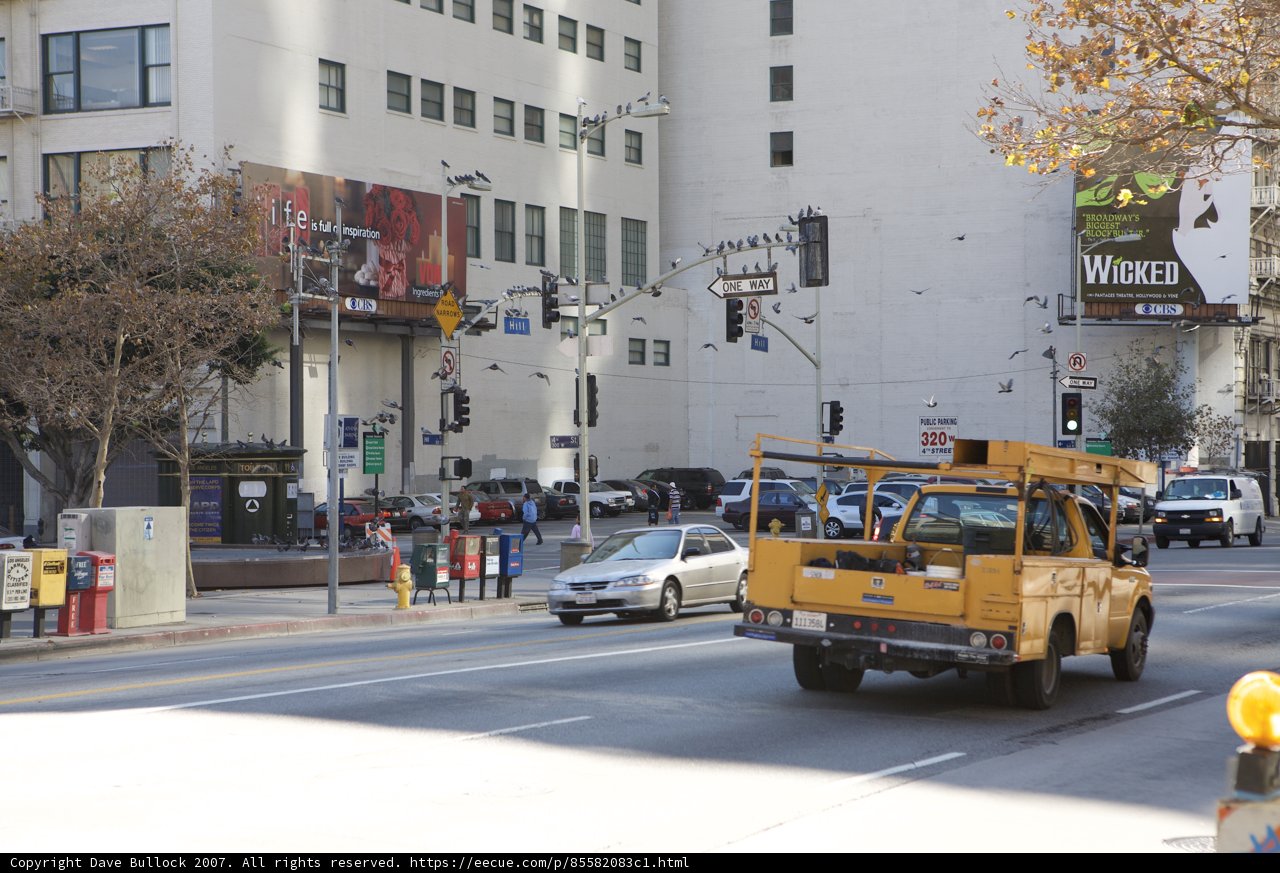 School Bus in the City