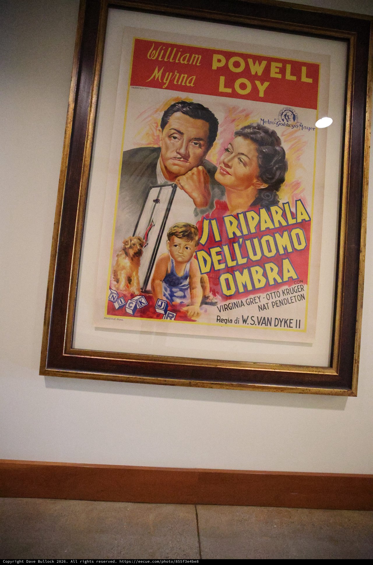 Vintage Italian Movie Poster for The Thin Man Film