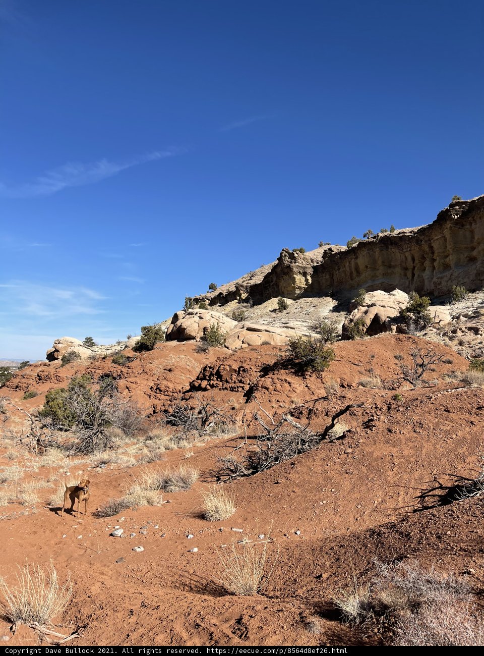 Lone Wanderer in the Desert