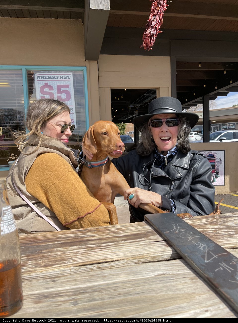 A Table for Two Women and Their Furry Friend