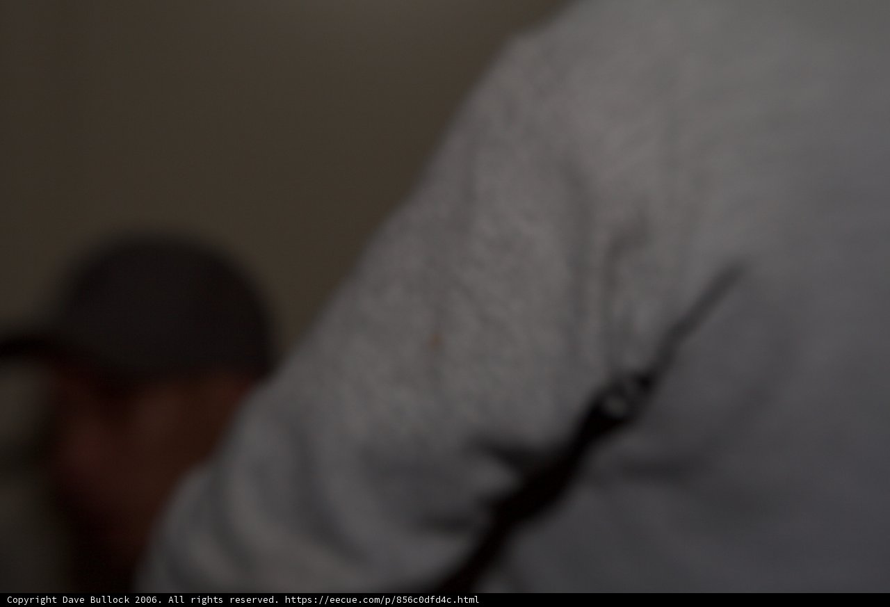 Blurry figures in a dimly lit room