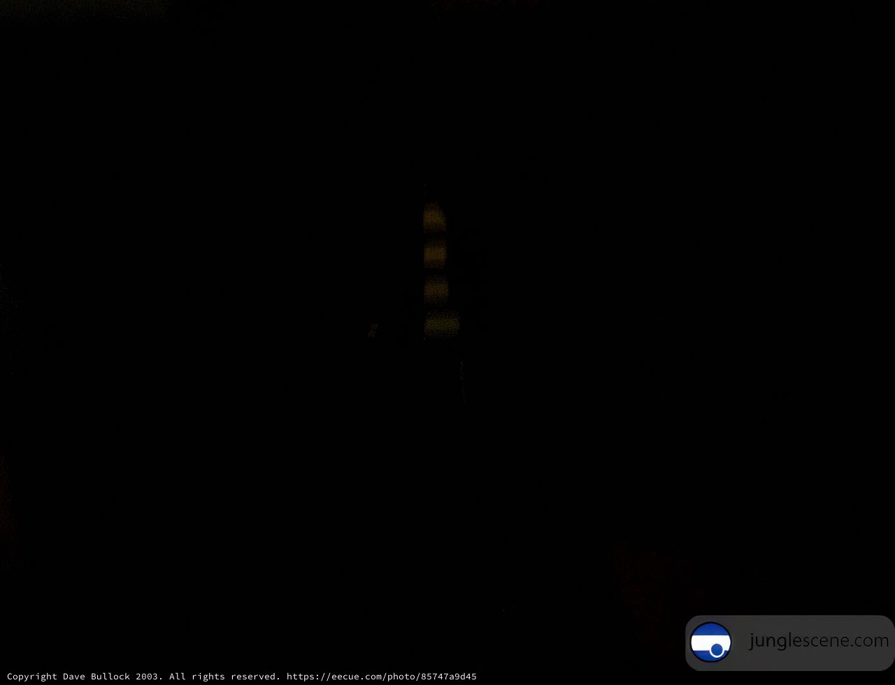 Dark Night Skies Reflected on a Computer Screen