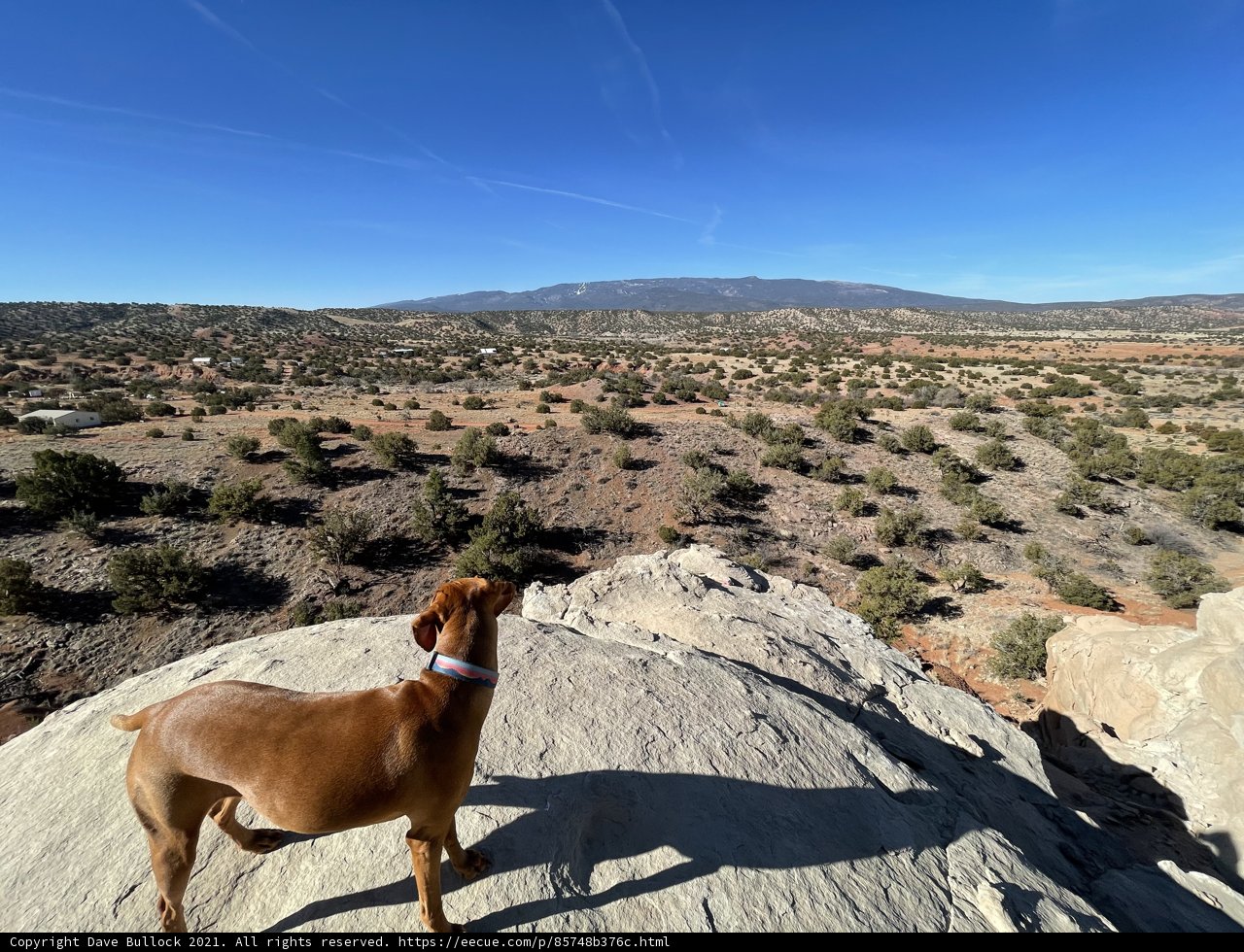 Overlooking the Wilderness