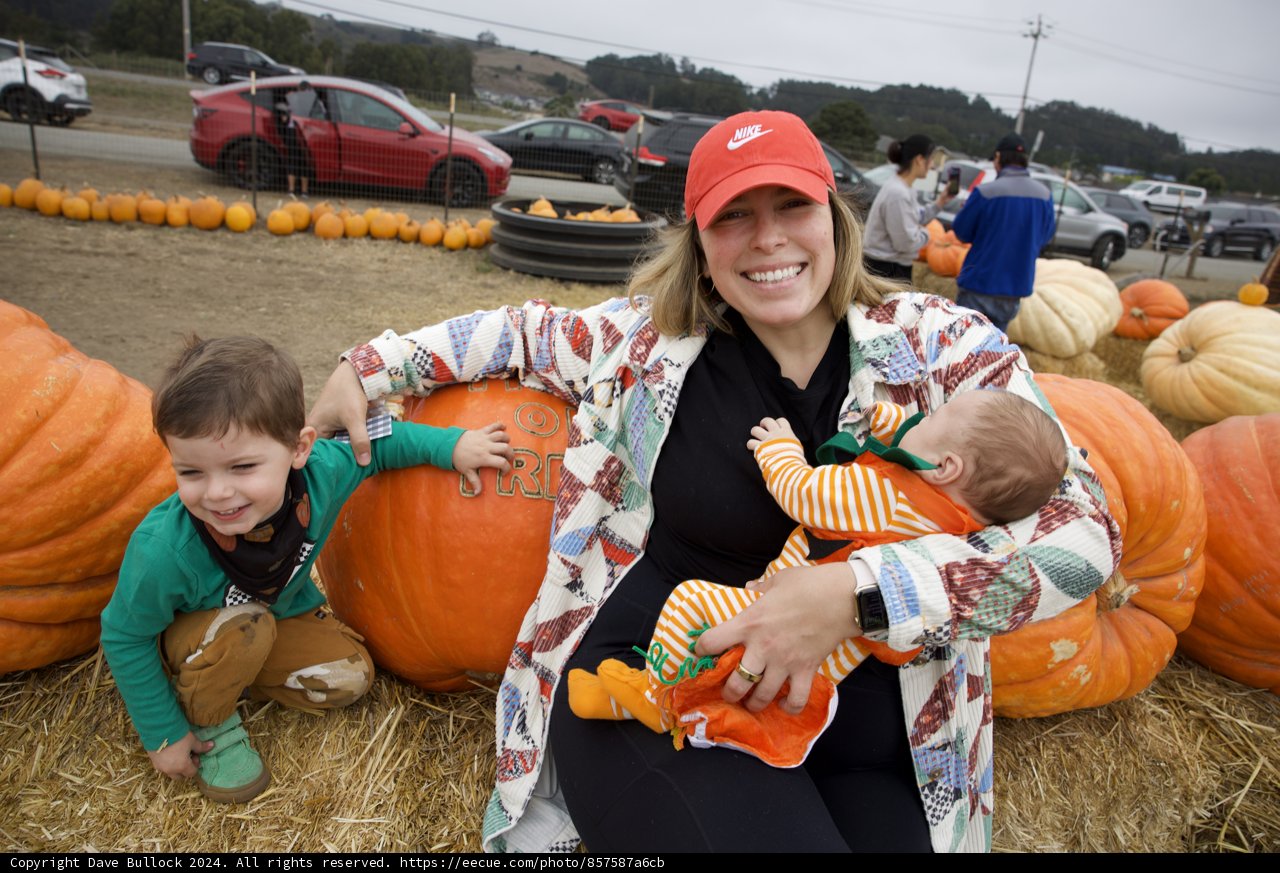 Pumpkin Patch Delight