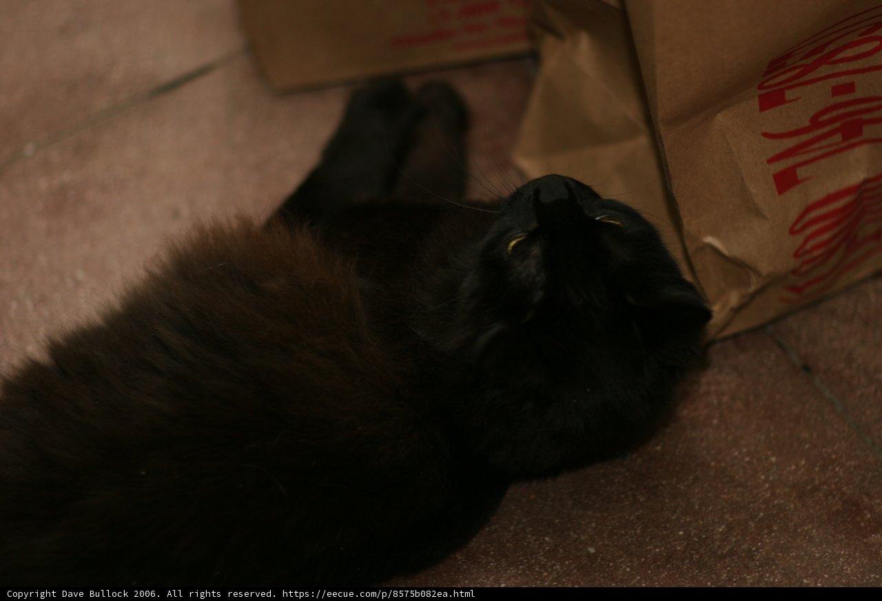 The Box Bed
