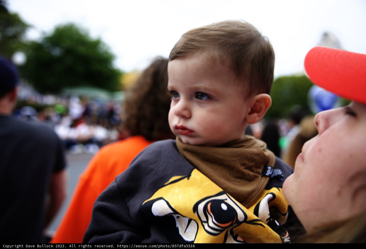 Magical Moments at Disneyland