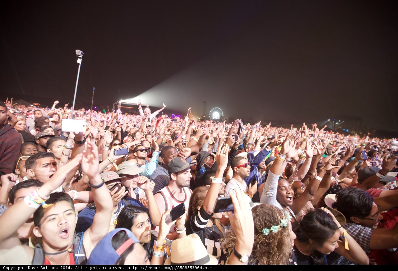 Music Festival Madness