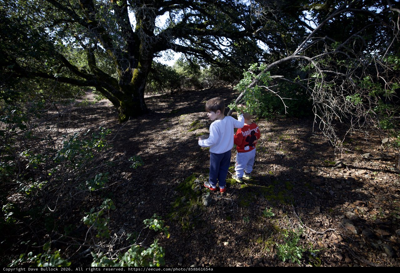 Young Explorers Discover Nature in Oak Forest
