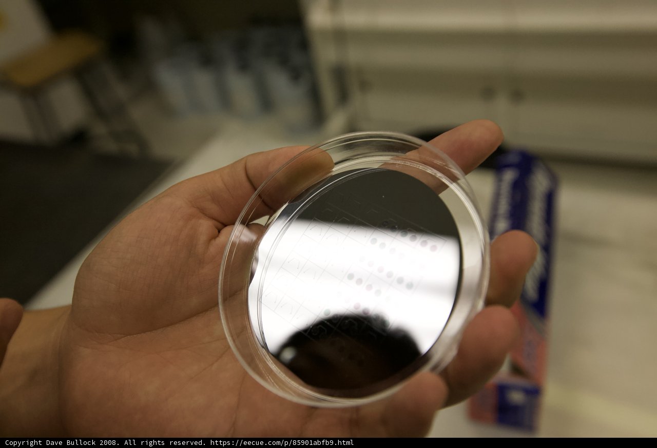 Exploring the Microscopic World