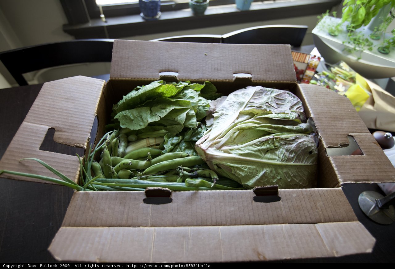 Fresh South Central Veggies