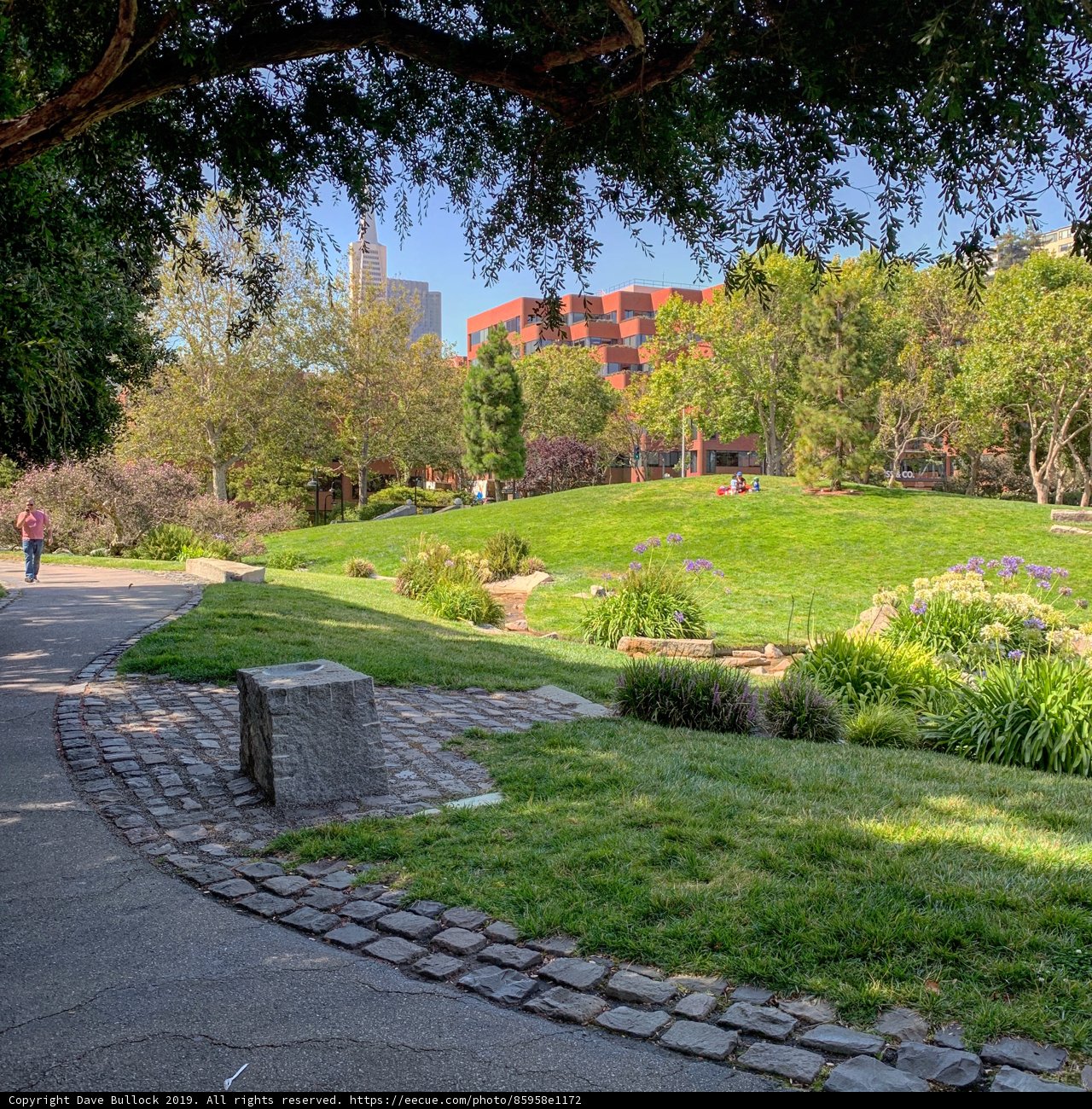 Serenity in the Park