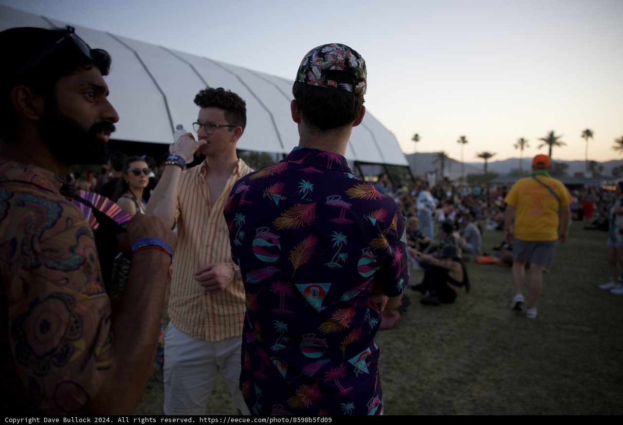 Coachella Vibes: Sunset Conversations