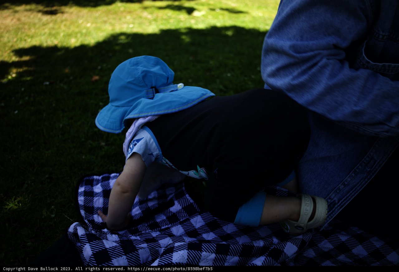 Sunny Day in the Park - July 2023