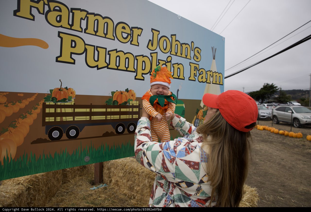 Harvest Joy at the Pumpkin Patch