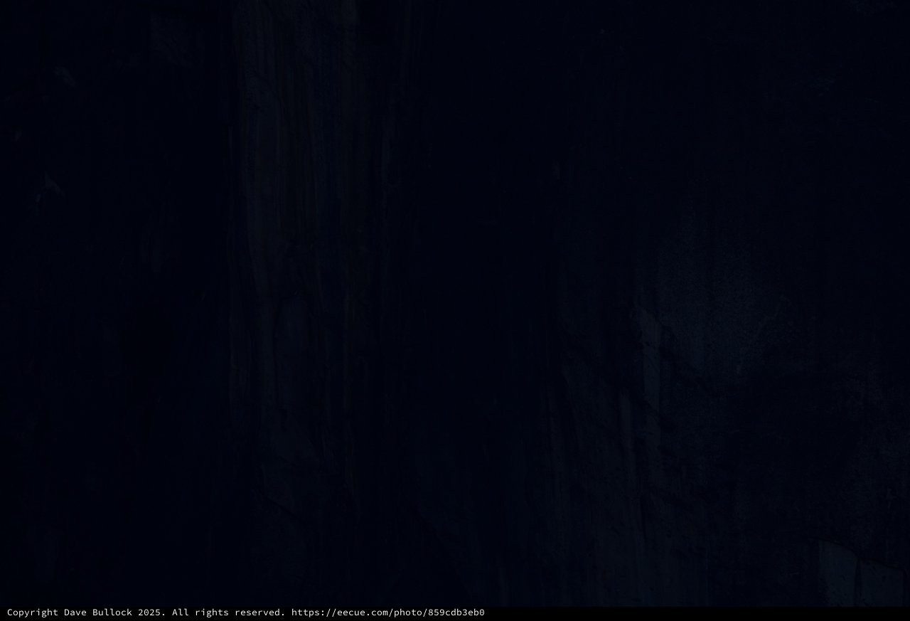 Moonlit Snow-Covered Trees in Yosemite Valley