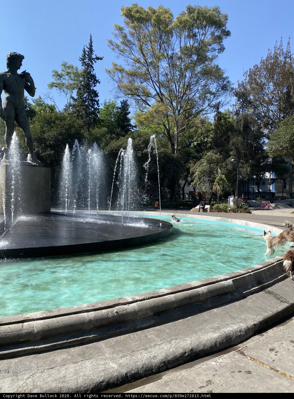 Serenity at Plaza Rio De Janeiro