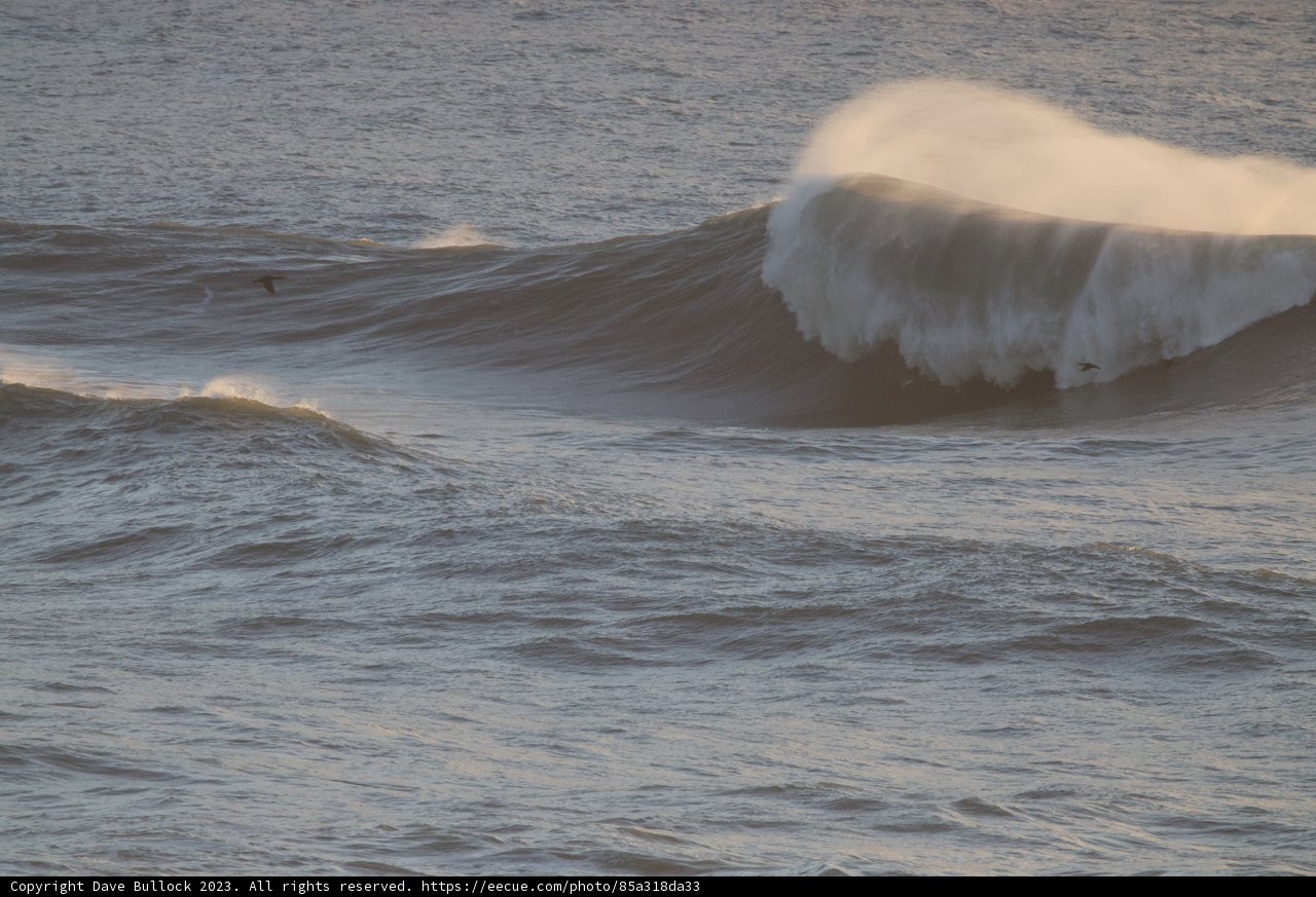 Majestic Surf Encounter at Mavericks and Pacifica