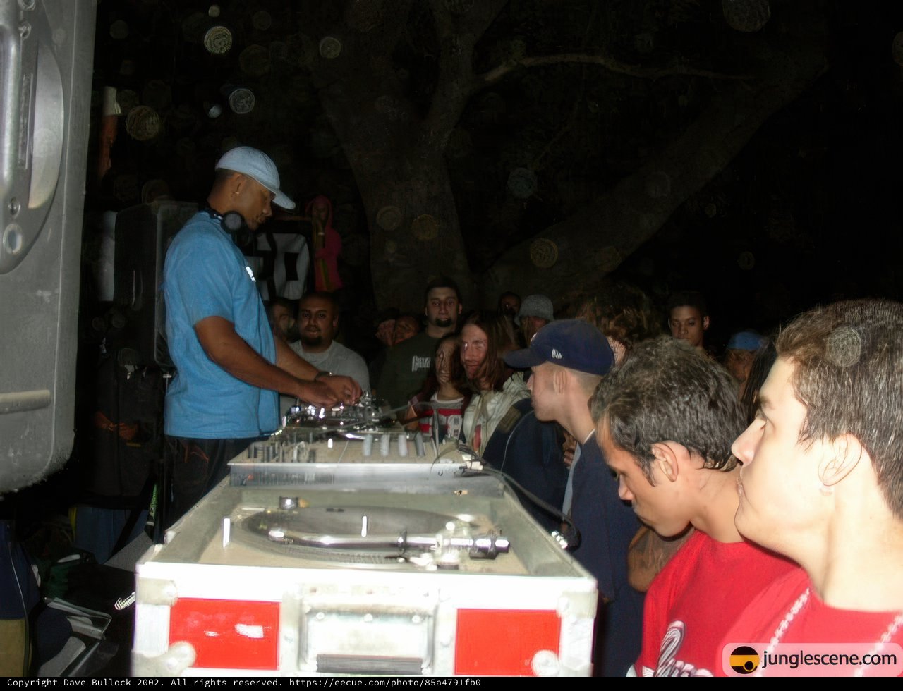 Blue-Hatted DJ Rocks the Nightclub