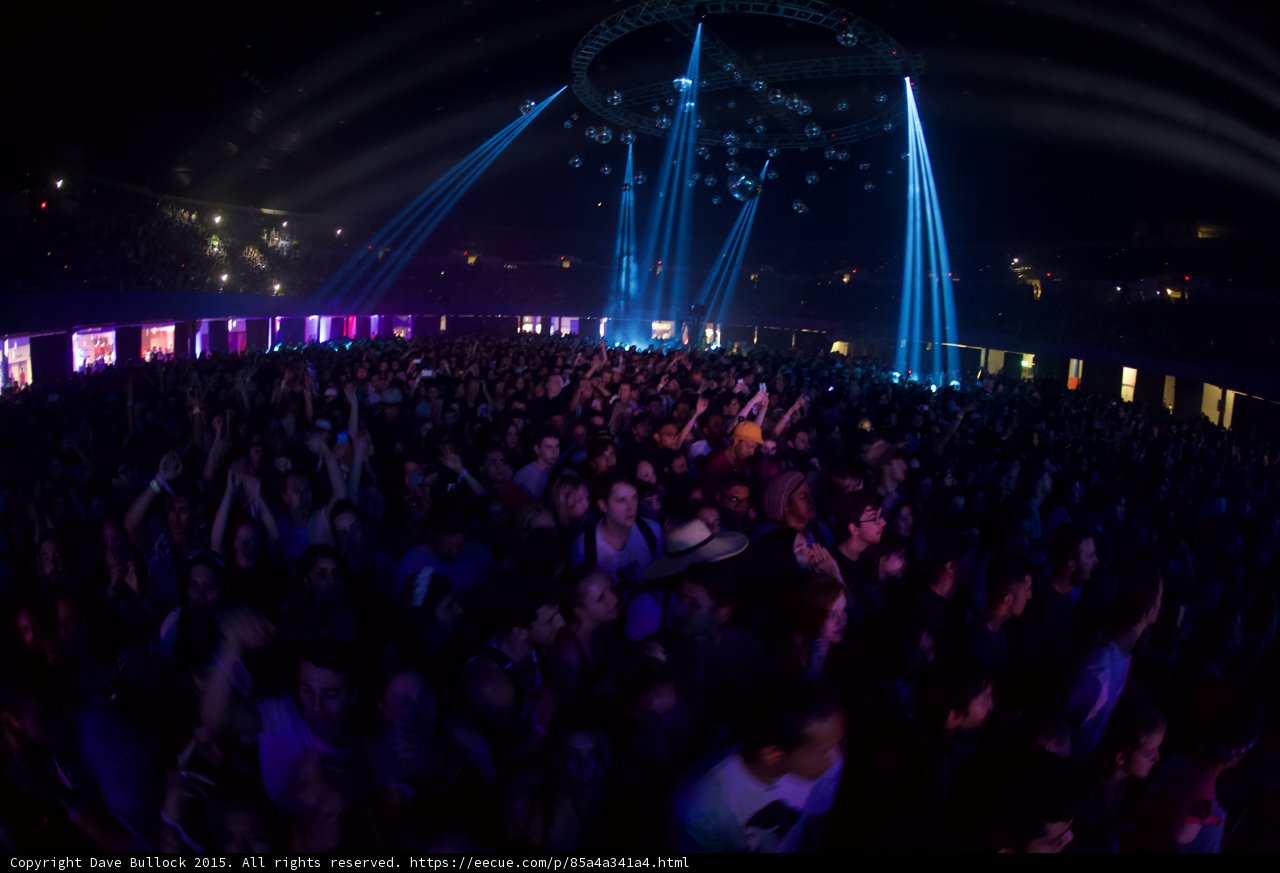 Arena Crowd Purple Tint