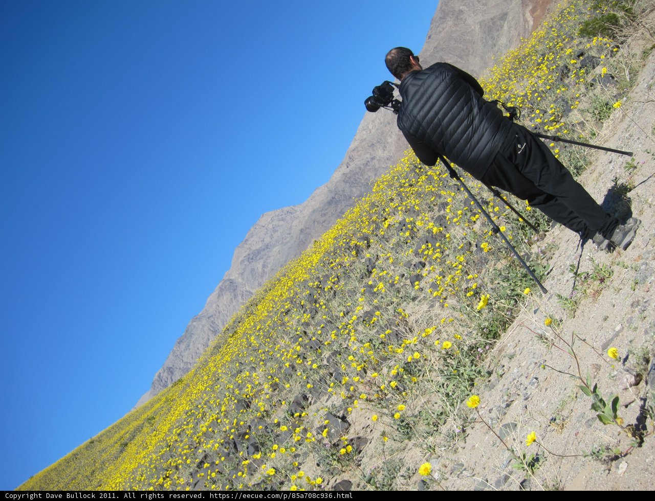 Capturing the Beauty of Nature