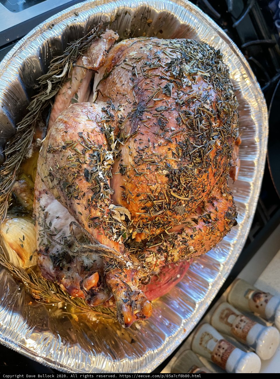 A Golden-Brown Roast Turkey on the Stove
