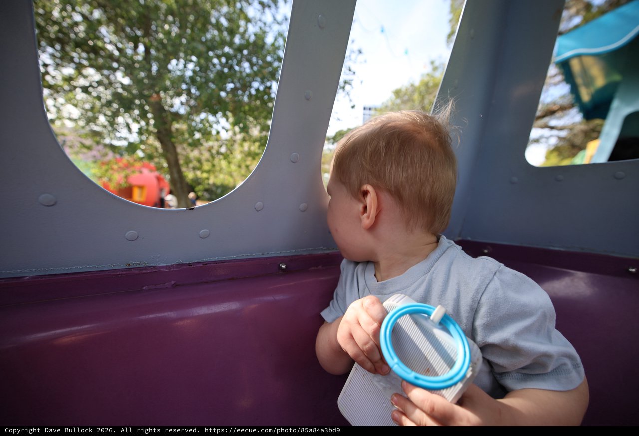 Toddler Gazing Through Playground Structure Window