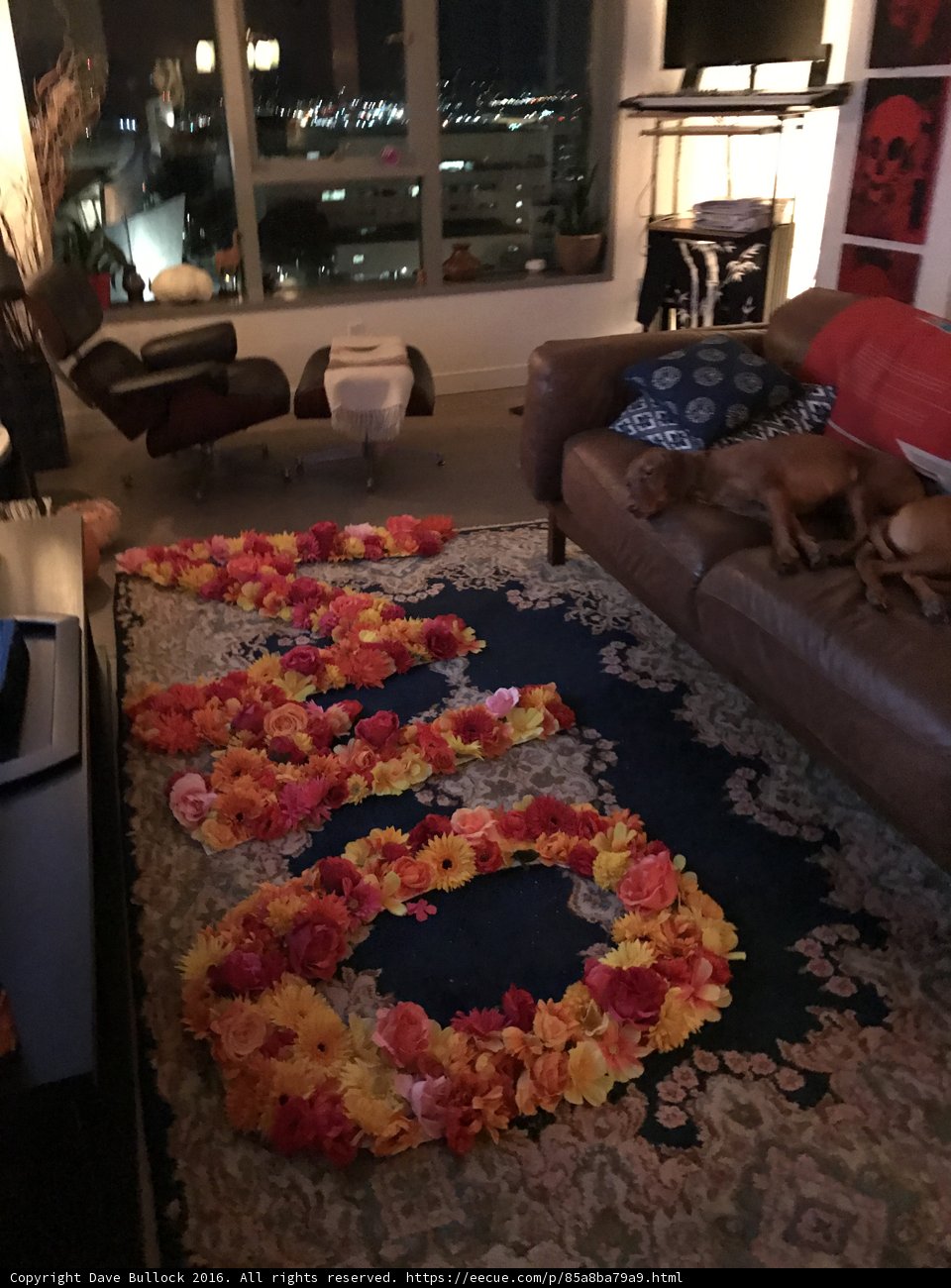 Cozy Living Room with a Furry Companion