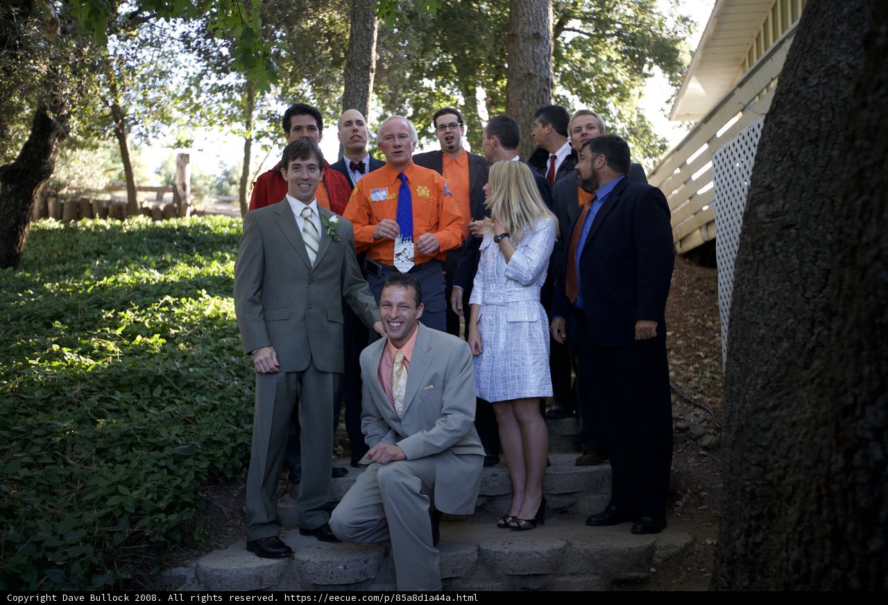The Truitt Wedding Party Strikes a Pose