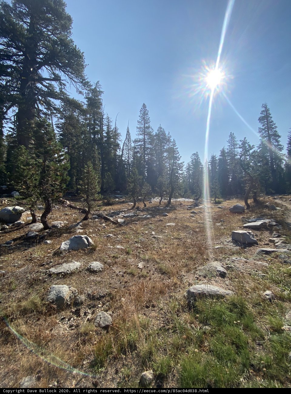 Serenity in Desolation Wilderness