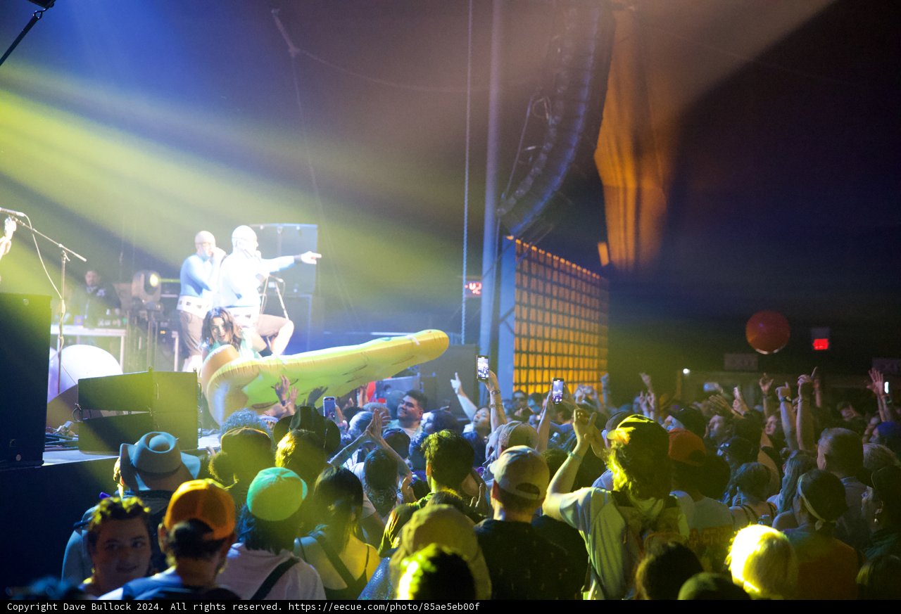 Electric Nights at Coachella 2024: Crowd Surfing Spectacle