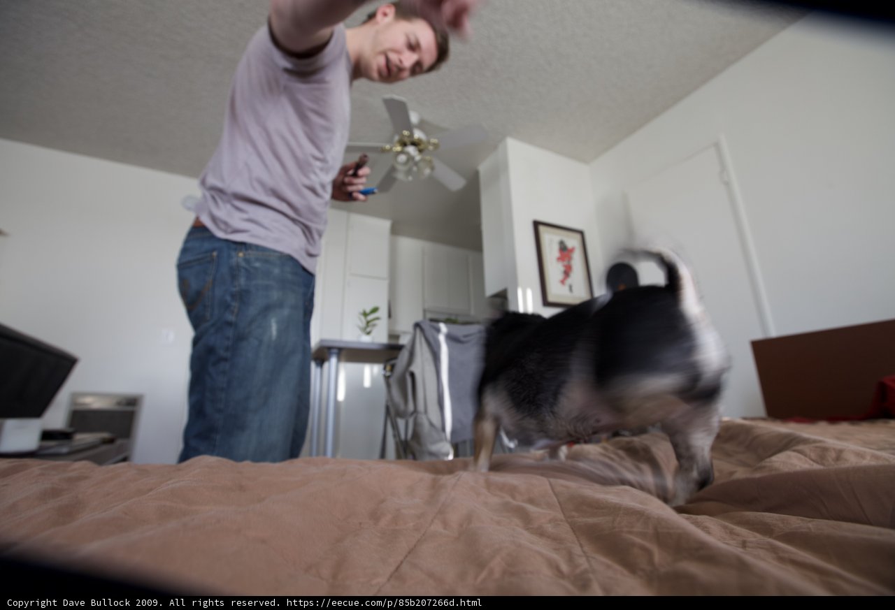 Man and Dog on a Bed