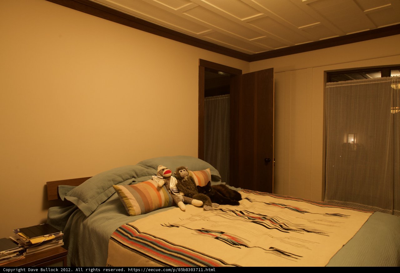 Cozy Companion