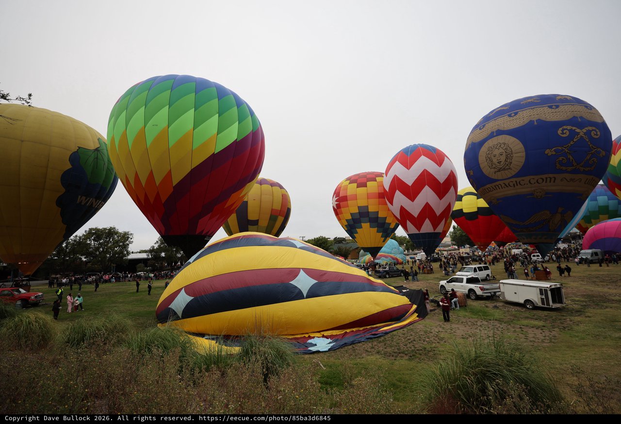 Colorful Hot Air Balloons Fill Festival Launch Field