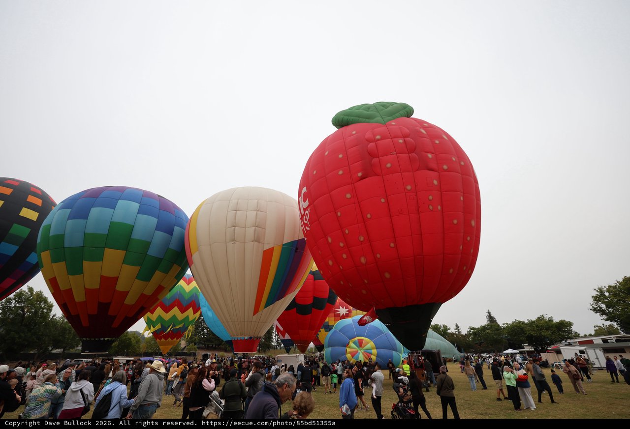 Strawberry Giant Dominates Sonoma Balloon Classic Festival