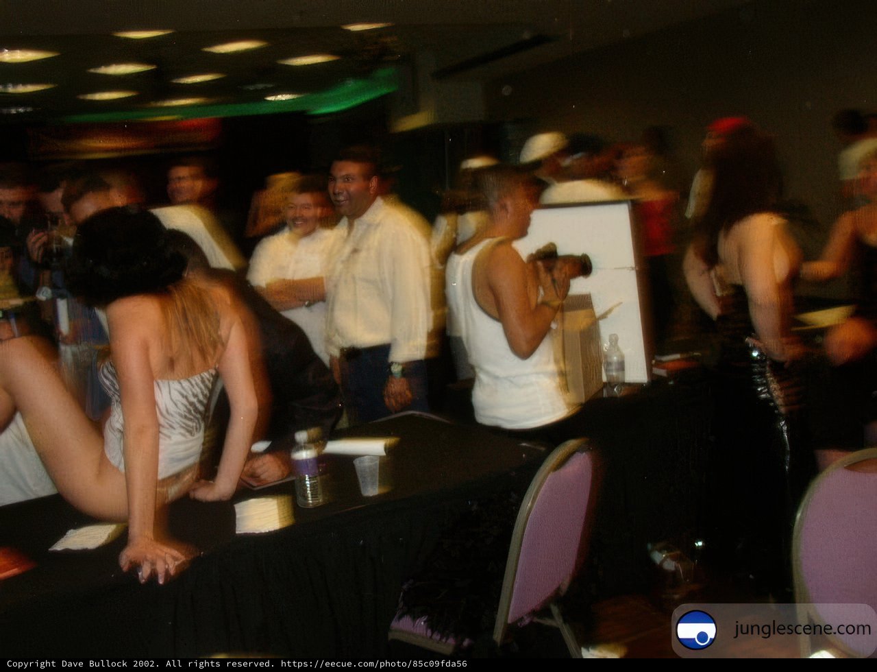 Nightclub Gathering