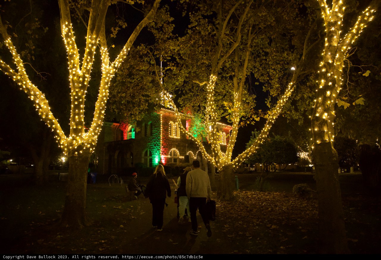 A Starry Night in Downtown Sonoma
