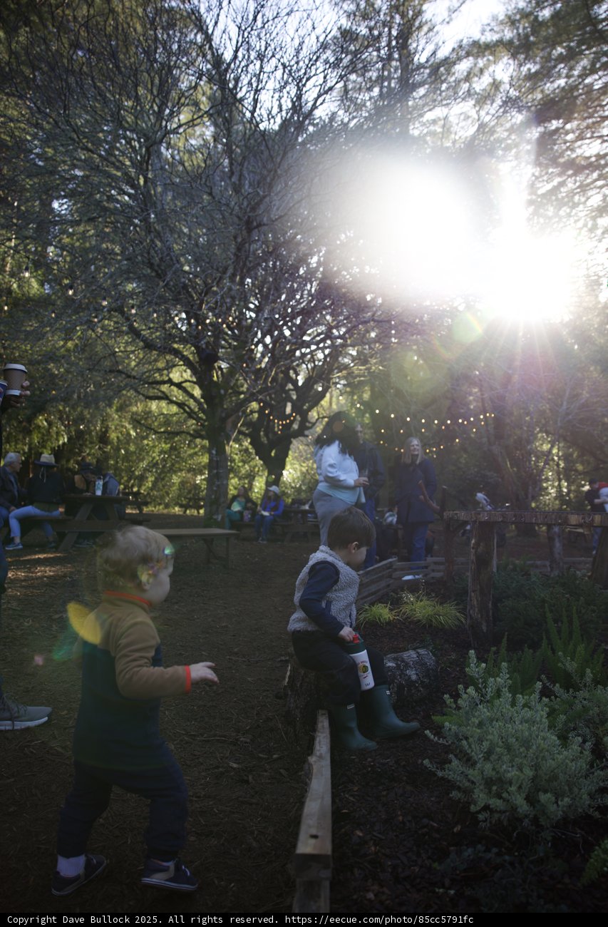 Sunlit Adventure in Thistlewyck