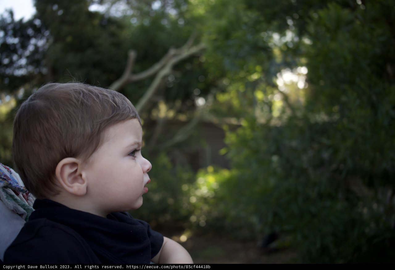 A Day to Remember at the SF Zoo