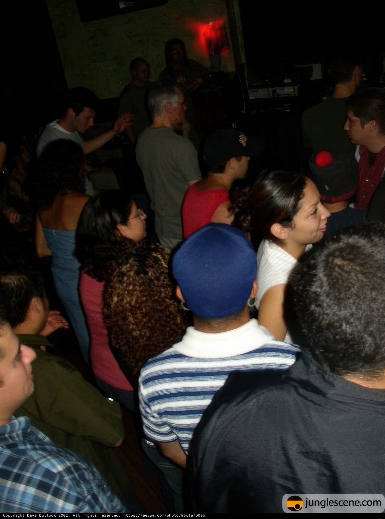 Nightclub Crowd