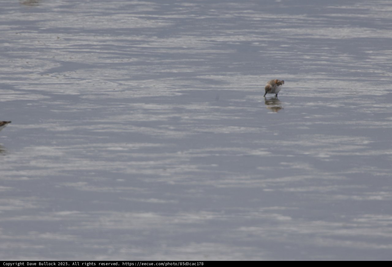 Serenity in Flight