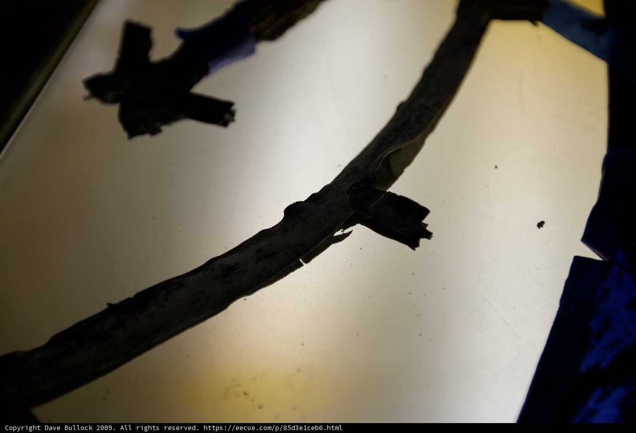 Hanging Branch with Blue Tape