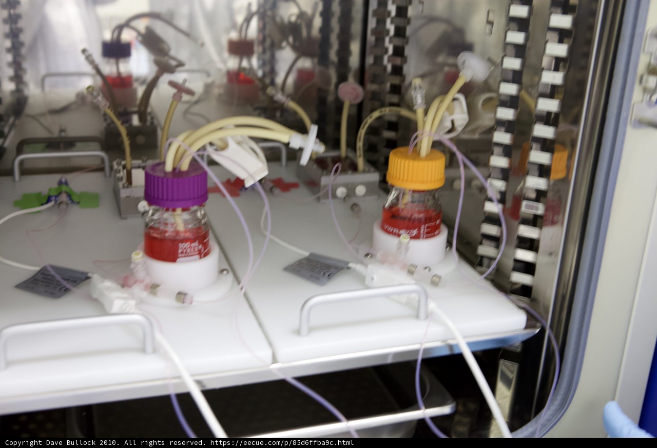 Modern Cord and Tube Laboratory Machine