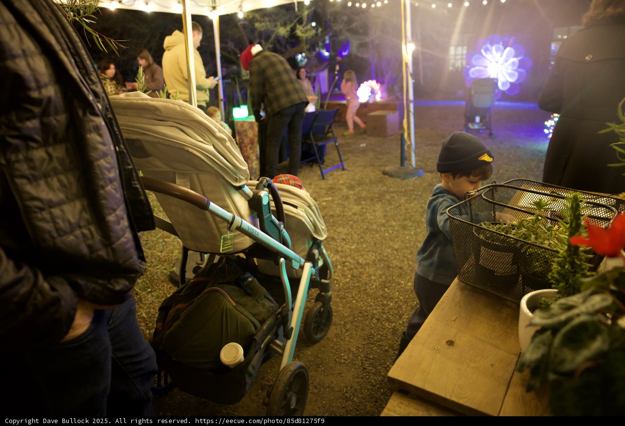 Magical Evening at the Garden of D'Lights