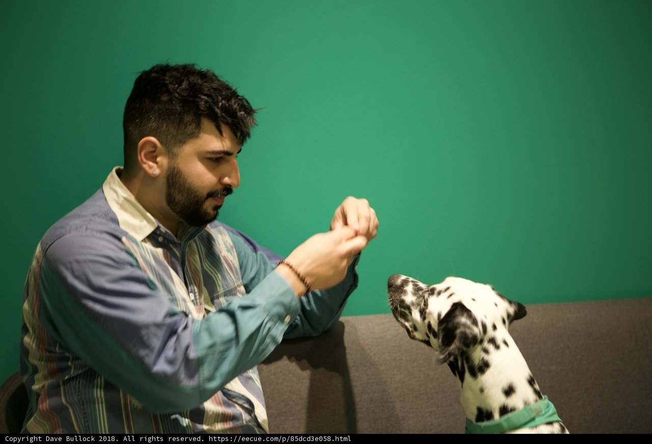 Man and his Dalmatian Companion